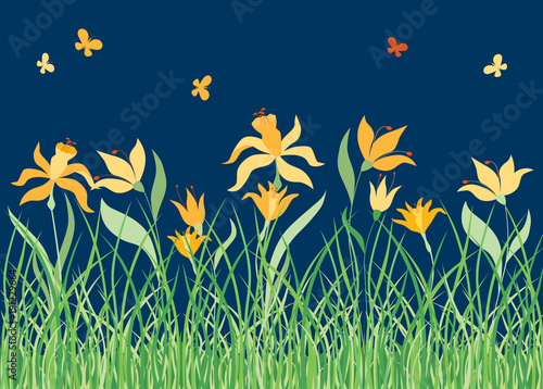 Fototapeta Naklejka Na Ścianę i Meble -  yellow flowers in the summer meadow