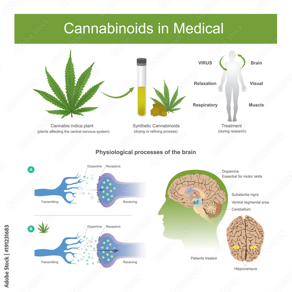 Research has found that cannabis indica plant can have the following effects.Cannabis it is plant affecting the central nervous system in human.