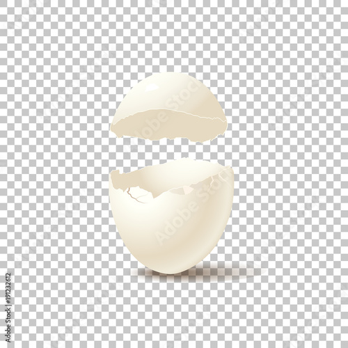 Broken empty eggshell isolated on transparent background. Vector realistic design element.