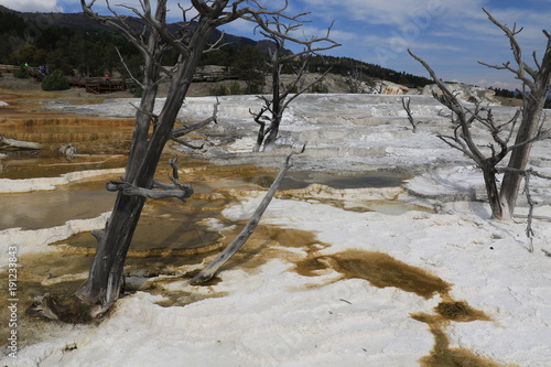 Travertines near Mammoth Hot Springs in Yellowstone National Park