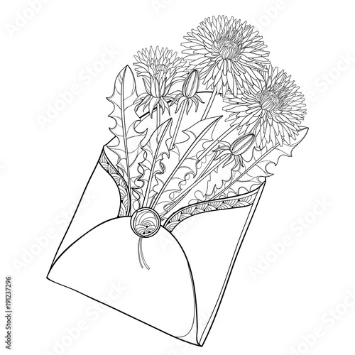 Fototapeta Naklejka Na Ścianę i Meble -  Vector bouquet with outline Dandelion flower, bud and leaves in open craft envelope in black isolated on white background. Ornate floral for romantic spring design and coloring book in contour style.