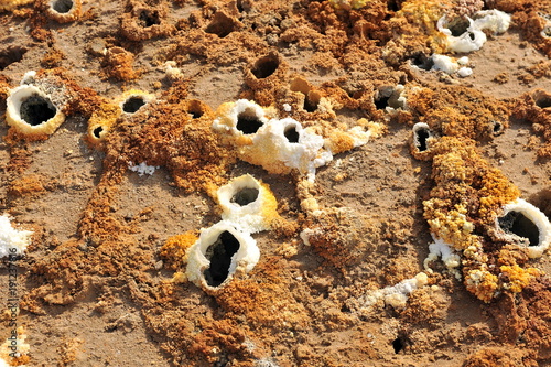 The astounding fumaroles of the volcano Dallol (Ethiopia)