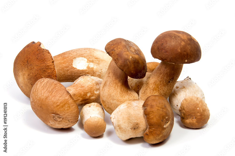 Fresh forest mushroom boletus with a thick mushroom leg and wet cap on a white background food background Fresh forest mushroom boletus with a thick mushroom leg and wet cap on a white background food background