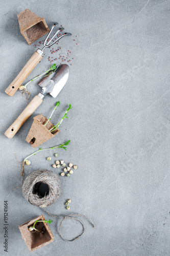 Garden tools and seedling on the gray textured table