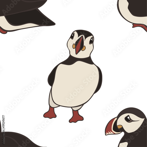 Vector seamless pattern with hand drawn atlantic puffins isolated on white background. Funny puffin character, beautiful design elements. Cute cartoon Icelandic puffin bird. Design for print or web.