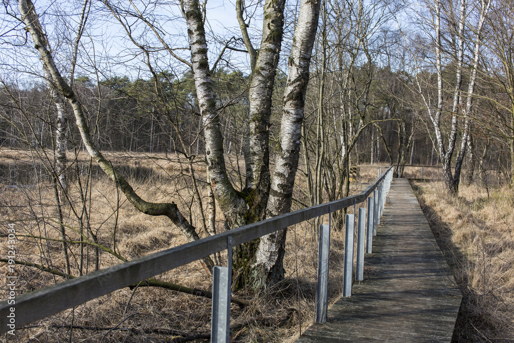 Hochmoor Hochmoor