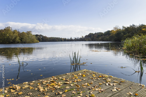 Autumn leaves litter a jetty and the lake at Bolam as trees take on their autumn foliage.