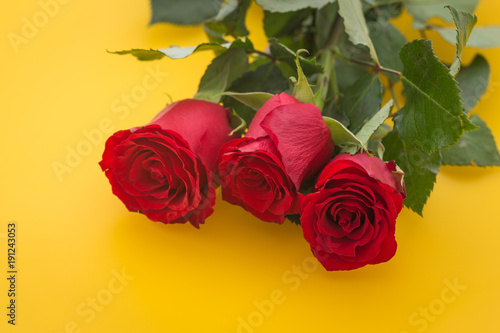Fototapeta Naklejka Na Ścianę i Meble -  occasional beautiful red roses on the yellow background with place for dedications or wishes.