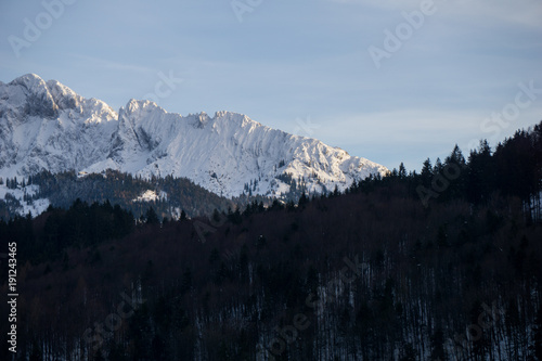 Leafless forest in the foreground with rugged mountain range in the background