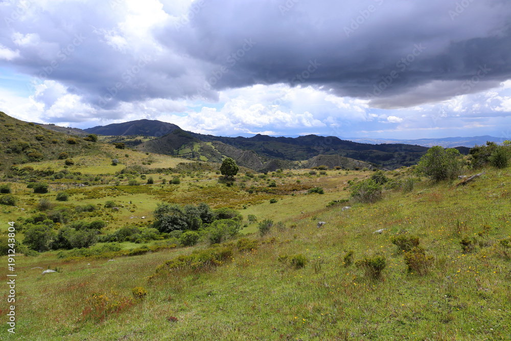 Fototapeta premium Typical Colombia Landscape