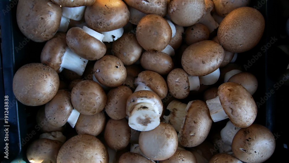 Fresh mushrooms Fresh mushrooms
