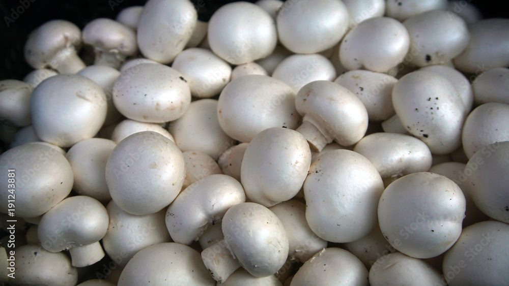 Fresh mushrooms Fresh mushrooms