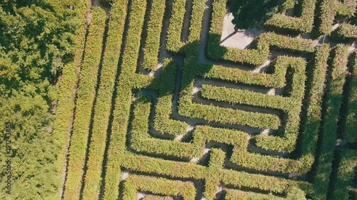Hedge maze in city park. Labyrinth in the bushes. Beautiful summer in town, green trees. Woman is walking through a maze - 4K Drone Footage