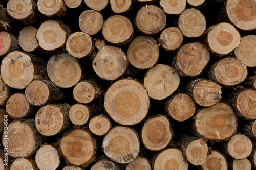 Wood piles background. Close-up view.