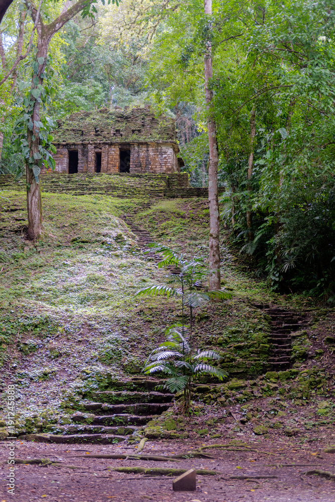 Yaxchilán ist eine historische Maya-Stadt am Fluss Usumacinta zwischen Mexiko und Guatemala Yaxchilán ist eine historische Maya-Stadt am Fluss Usumacinta zwischen Mexiko und Guatemala