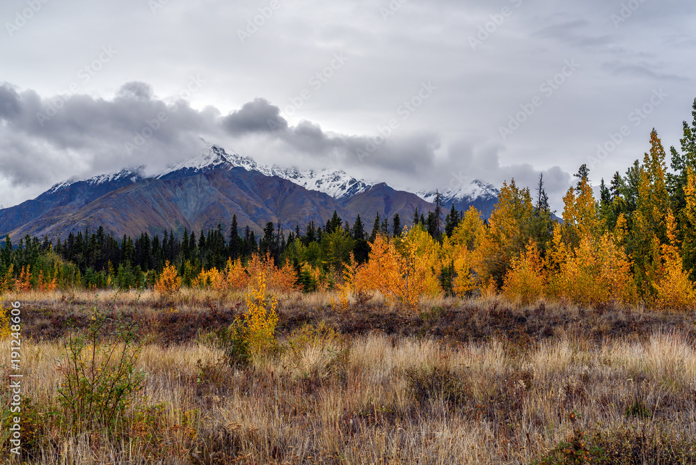 Amazing fall colors in Kluane National Park and Reserve in Yukon Territory along Alaska Hwy