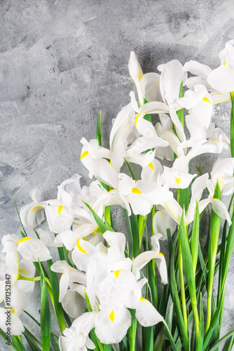 Fototapeta Naklejka Na Ścianę i Meble -  Bouquet of Beautiful Iris Flowers