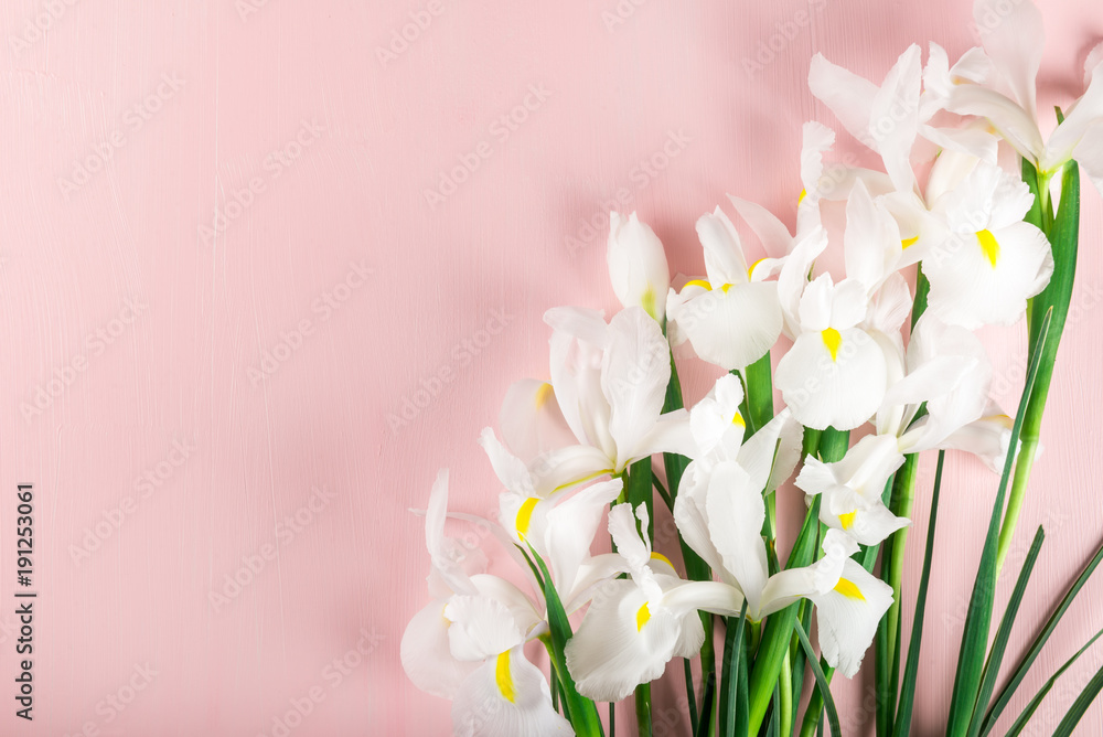 Bouquet of Beautiful Iris Flowers Bouquet of Beautiful Iris Flowers
