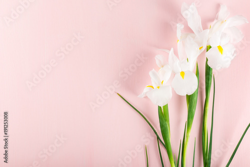 Fototapeta Naklejka Na Ścianę i Meble -  Bouquet of Beautiful Iris Flowers