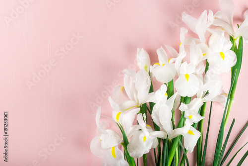 Fototapeta Naklejka Na Ścianę i Meble -  Bouquet of Beautiful Iris Flowers