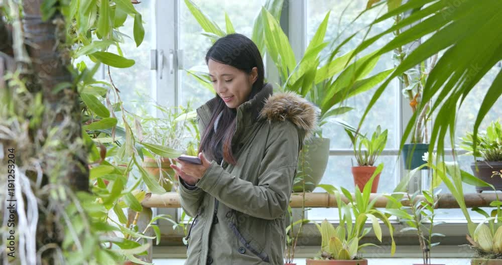 Woman taking photo with cellphone in green house Woman taking photo with cellphone in green house
