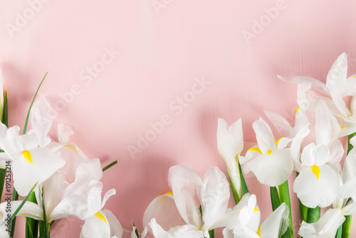 Fototapeta Naklejka Na Ścianę i Meble -  Bouquet of Beautiful Iris Flowers
