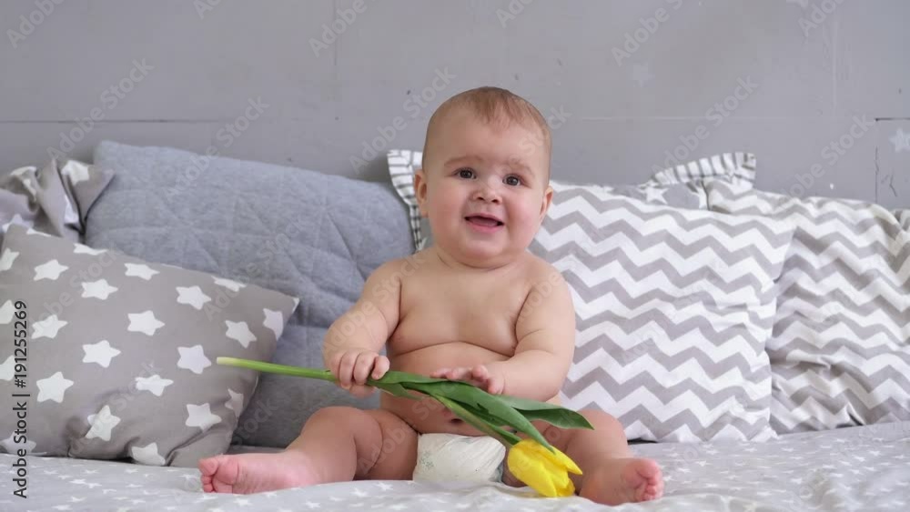Happy smiling kids boy with flower. Studio. 8 march. Tulips. Large frame Happy smiling kids boy with flower. Studio. 8 march. Tulips. Large frame