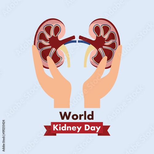 world kidney day campaign healthy human vector illustration