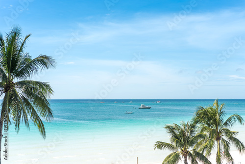 Palm and tropical beach, tropical background
