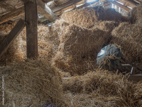 Hay in old barn