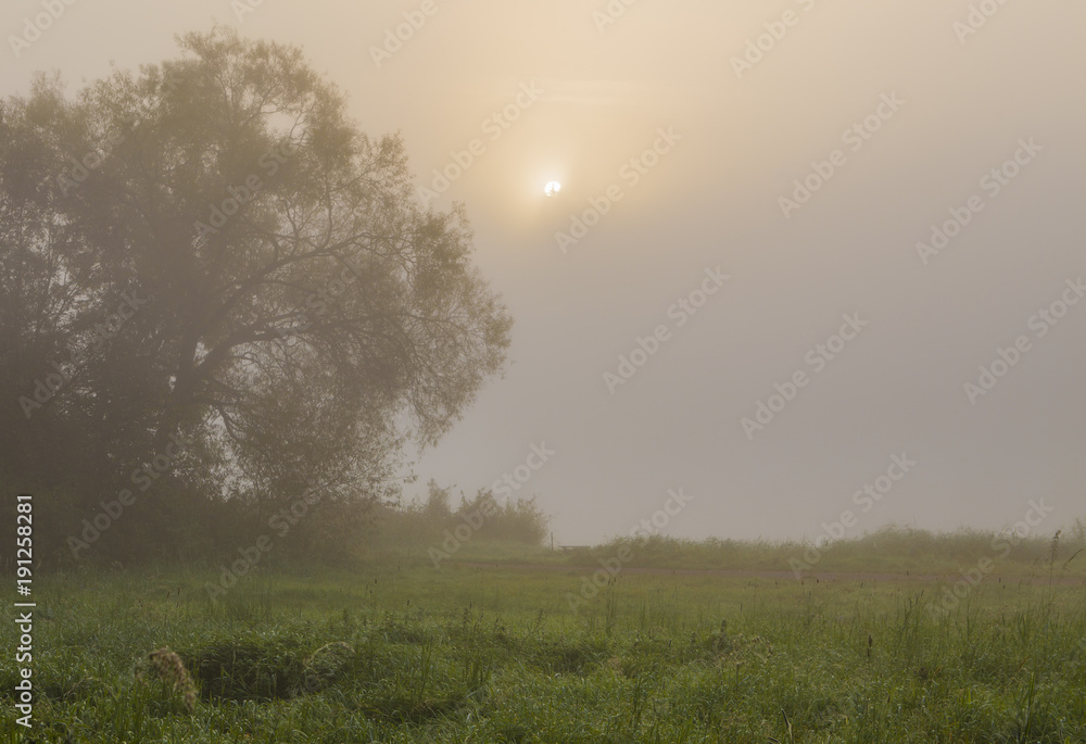 Sunrise in a foggy forest, autumn landscape Sunrise in a foggy forest, autumn landscape