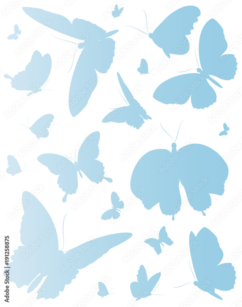 beautiful blue butterflies, isolated on a white beautiful blue butterflies, isolated on a white