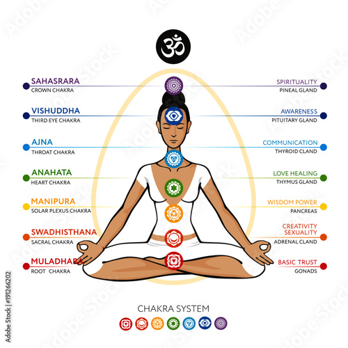 Chakras system of human body - used in Hinduism, Buddhism, Ayurveda. Line art  version. For design, associated with yoga. Vector Sahasrara, Ajna, Vishuddha, Anahata, Manipura, Swadhisthana, Muladhara