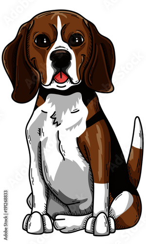 Beagle