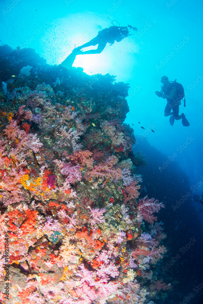 Obraz premium Wonderful and beautiful underwater world with scuba, coral reef landscape background in the deep blue ocean with colorful fish and marine life