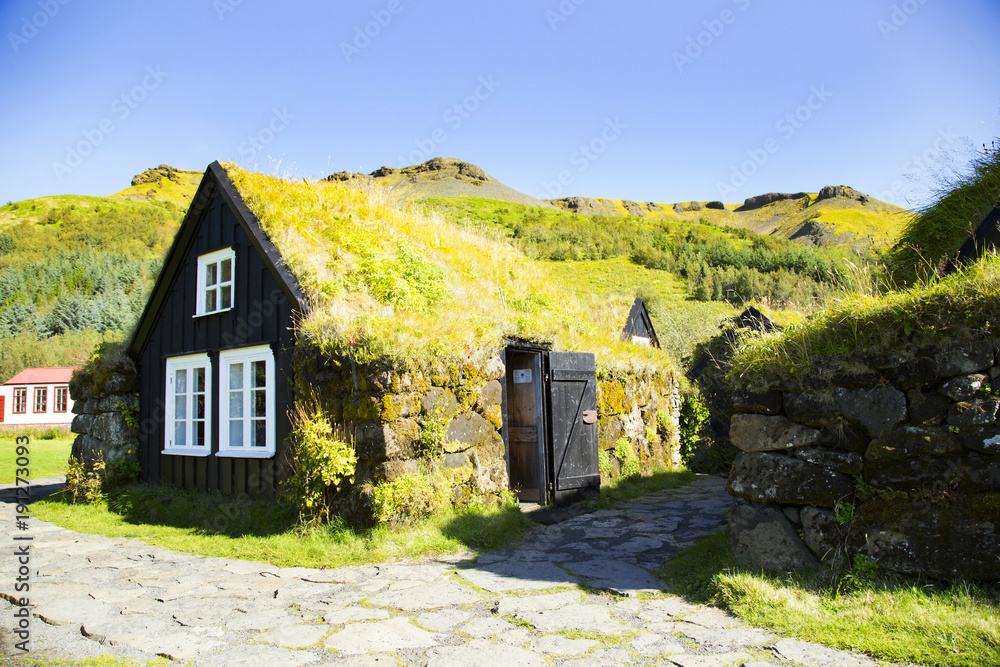 Obraz premium スコゥガル民俗博物館 ターフハウス