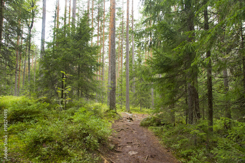 Nuuksio National Park