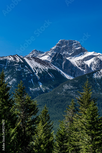 Snowy mountain with bright green trees and clear blue sky
