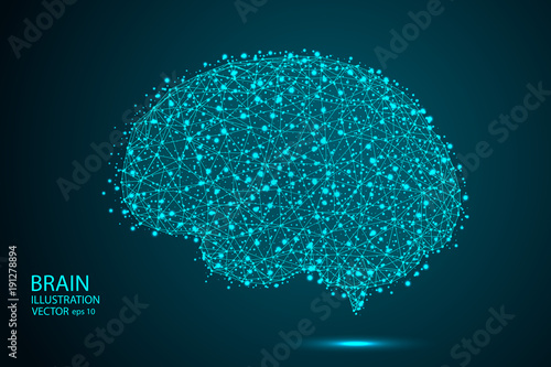The human brain consists of lines and triangles. The illustration is made up of polygons and points, stars in the sky. Vector EPS 10.