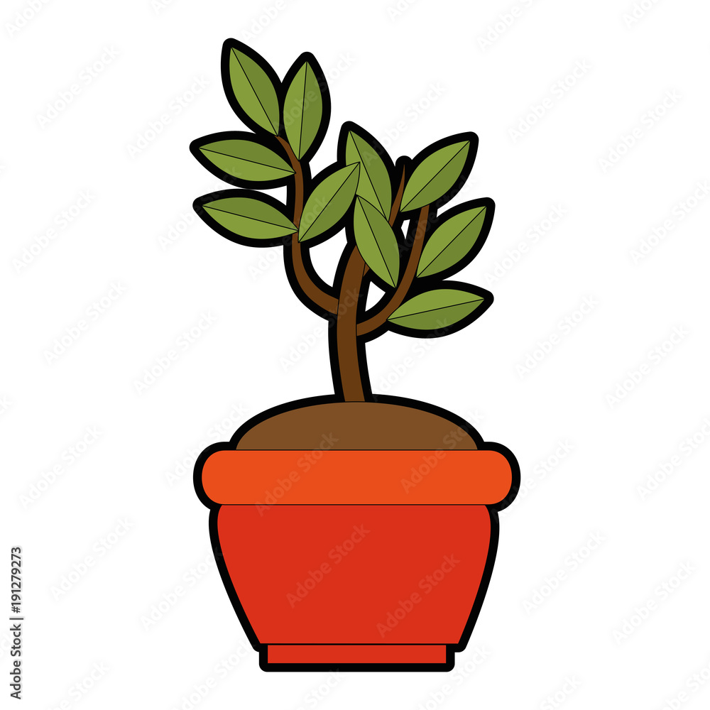 tree plant in pot vector illustration design tree plant in pot vector illustration design