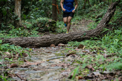 Athletic runner running on tropical forest trail, dramatic tone © PooMtyKunG