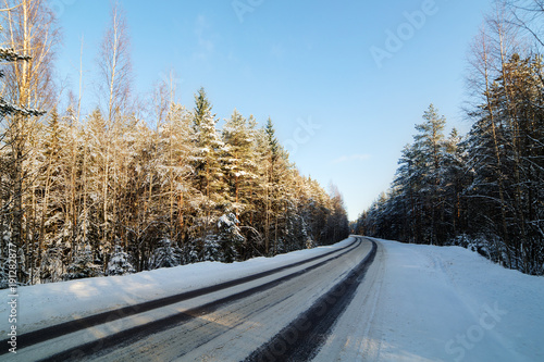 road in a winter forest