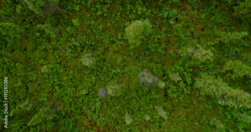 Wallpaper Mural Aerial flythrough of beautiful Alaska. July 2017 Torontodigital.ca