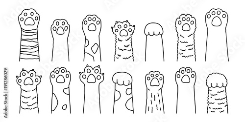 Cat paw vector dog paw cat breed vector character doodle illustration