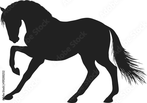 A silhouette of a stamping horse.
