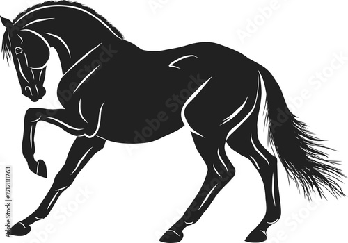 A sketch of a stamping horse.