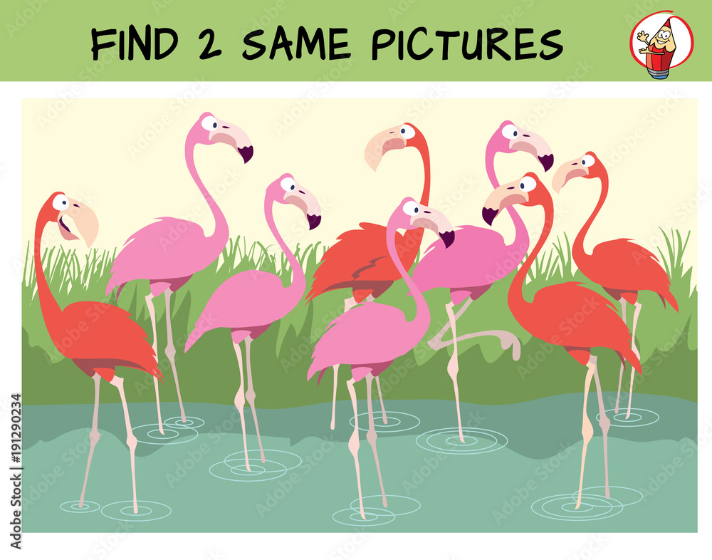 Obraz premium Find two the identical flamingos in the flock. Find two same pictures. Educational matching game for children. Cartoon vector illustration