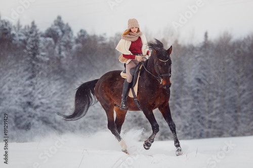 Close-up of horse with gallop rider is riding across field in winter forest. Equestrian sport.