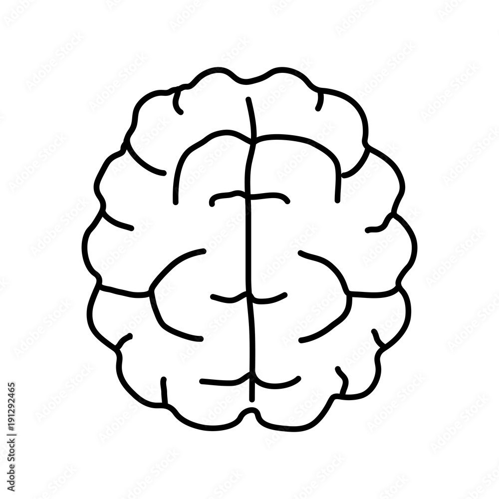 Brain icon. Outline brain black and white icon. Stock Vector | Adobe Stock