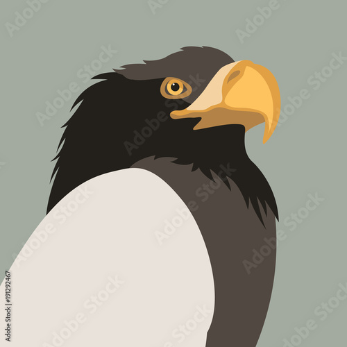 eagle head vector illustration flat style profile